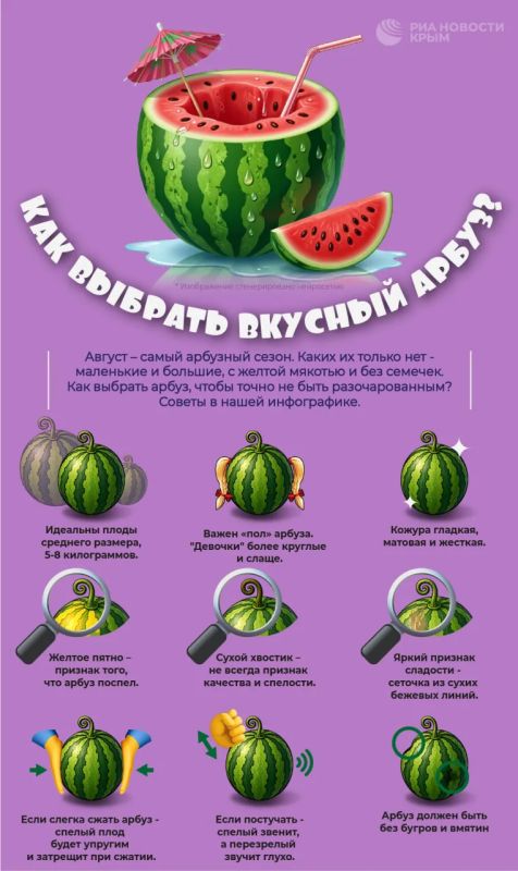 Арбузный сезон в самом разгаре: как выбрать вкусную ягоду?