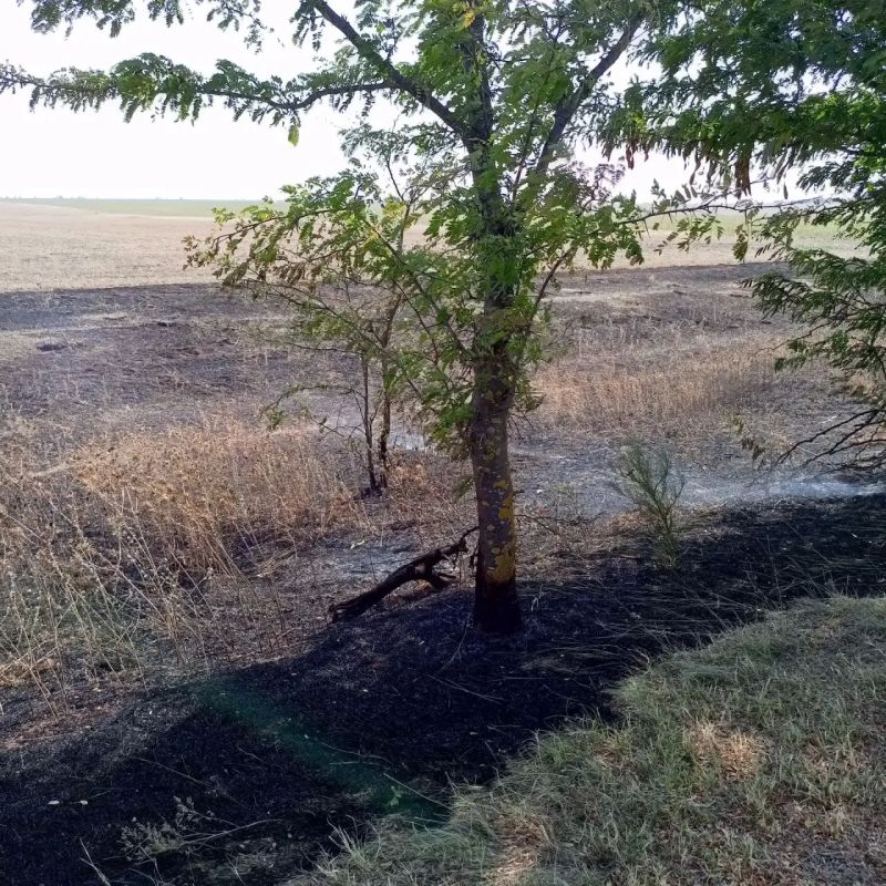 Ликвидация возгорания сухой травы в Раздольненском районе Ликвидация возгорания сухой травы в Раздольненском районе