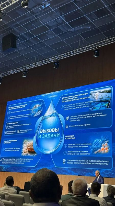 Крымская аквакультура: ставка на науку и инновации Крымская аквакультура: ставка на науку и инновации