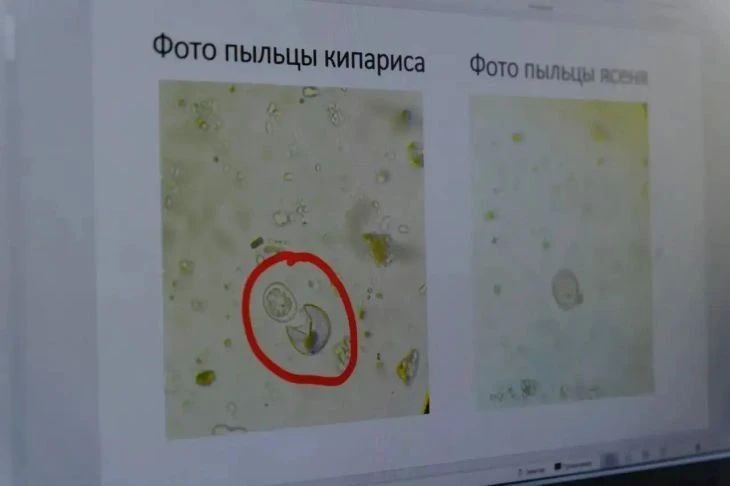 Недавно запущенная волюметрическая станция в Пироговской клинике Института имени И. М. Сеченова продолжает анализировать воздух Ялты в режиме реального времени