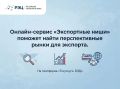 Мария Литовко: Новый инструмент для севастопольских экспортеров: онлайн-сервис «Экспортные ниши» на платформе «Госуслуги