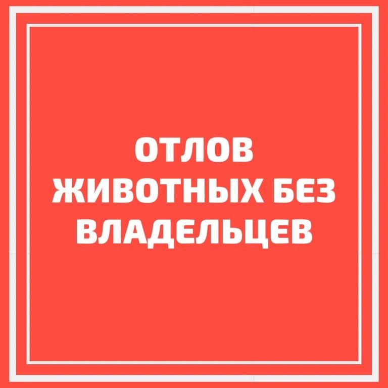 Уважаемые жители и гости города Армянска!
