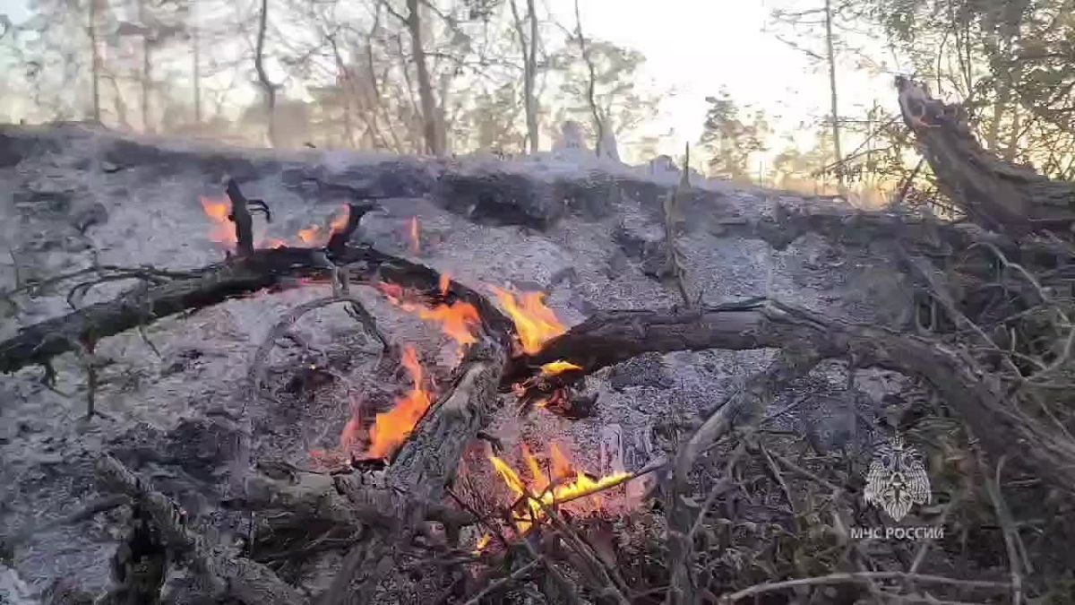 Спасатели тушат ландшафтный пожар на горе Тепе-Оба