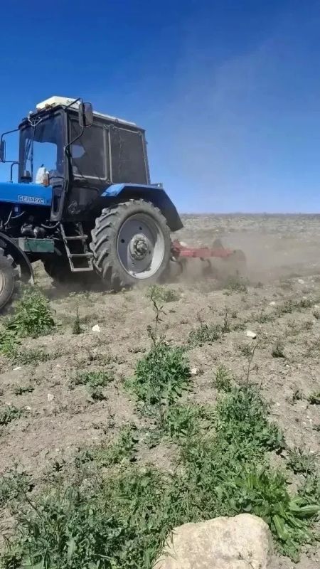 На территории лесного фонда продолжаются работы по подготовке почвы для создания лесных культур для высадки в осенний период На территории лесного фонда продолжаются работы по подготовке почвы для создания лесных культур для высадки в осенний период