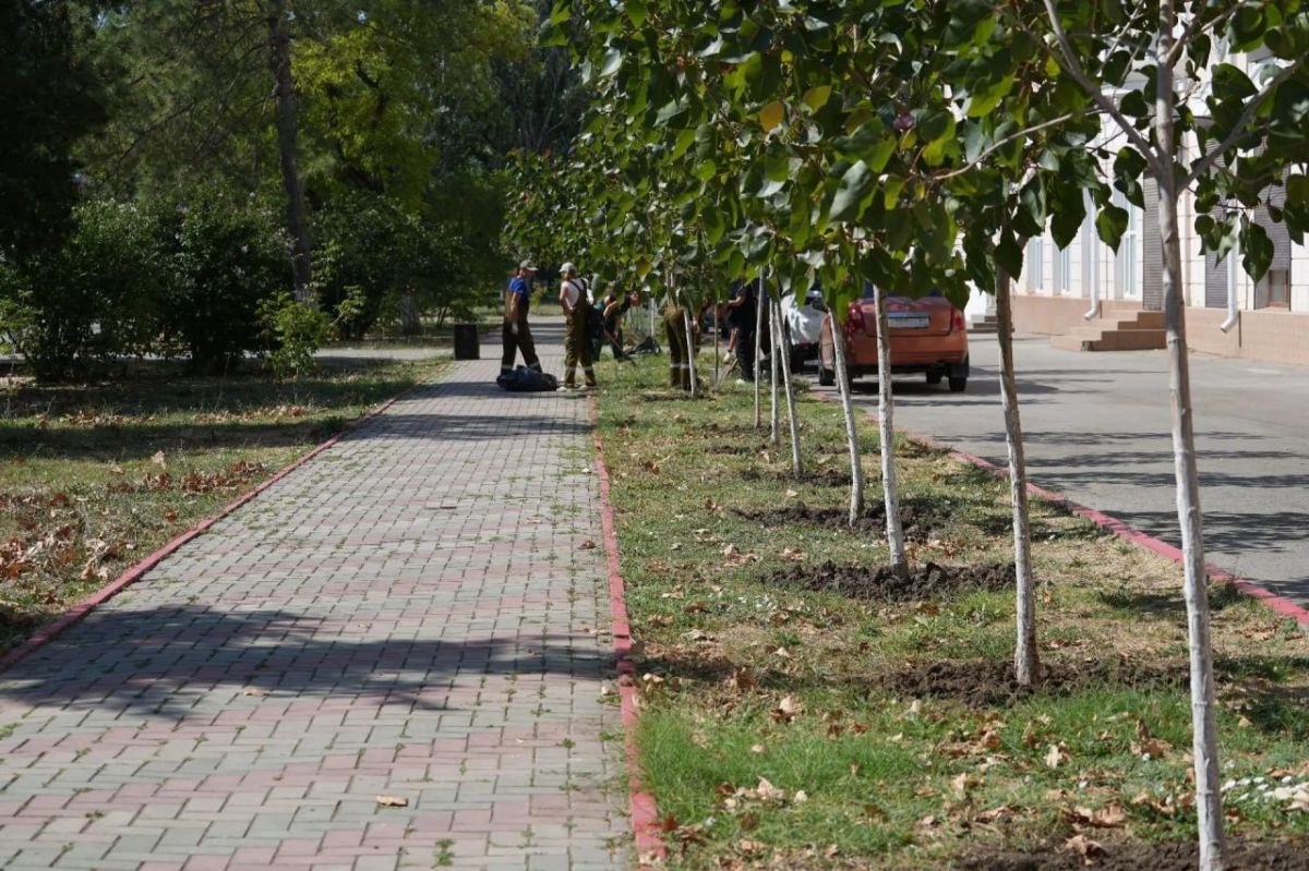 Иван Кошель: Получаю обращения от керчан о состоянии молодых тополей в сквере им. Тараса Шевченко. Сегодня по моему поручению сотрудники Службы городского хозяйства начали рабочий день с ухода за ними Иван Кошель: Получаю обращения от керчан о состоянии молодых тополей в сквере им. Тараса Шевченко. Сегодня по моему поручению сотрудники Службы городского хозяйства начали рабочий день с ухода за ними