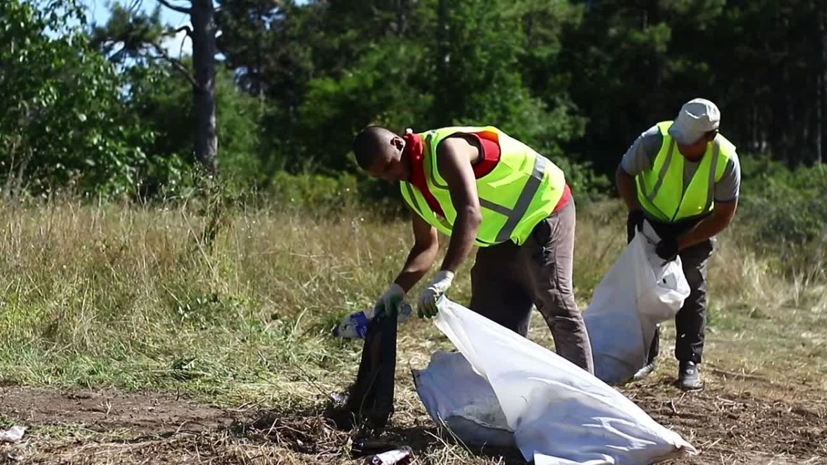 В крымской столице продолжаются масштабная уборка городских лесов