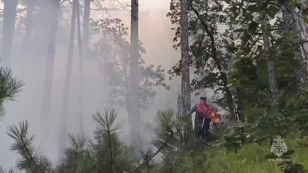 Площадь пожара в Ялте выросла до 6 гектаров