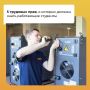 Шпаргалка для студентов по часто встречающимся трудовым ситуациям