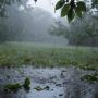 ����� ������ ��� ������� � ������ ����� 19 �������