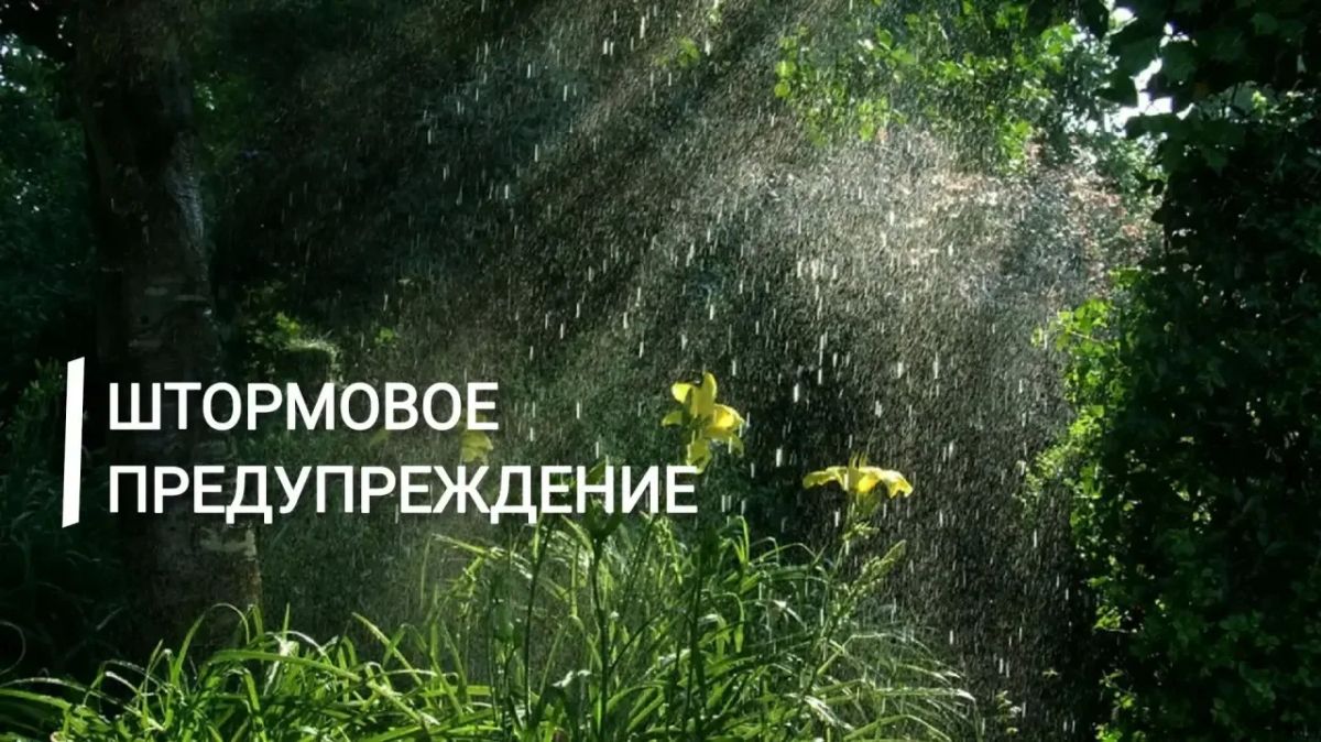 Экстренное предупреждение. Во второй половине дня и до конца дня 19 августа в Крыму ожидаются местами сильные ливни, грозы, град, при грозах шквалистое усиление ветра 15-20 м/с