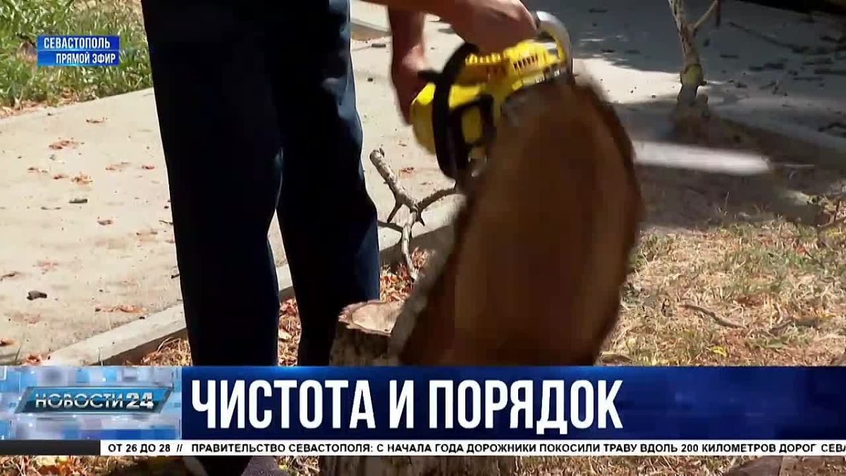 Обеспечить безопасность. 200 километров вдоль автомобильных дорог привели в порядок в Севастополе