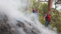 В Ялте ищут добровольцев для тушения крупного ландшафтного пожара