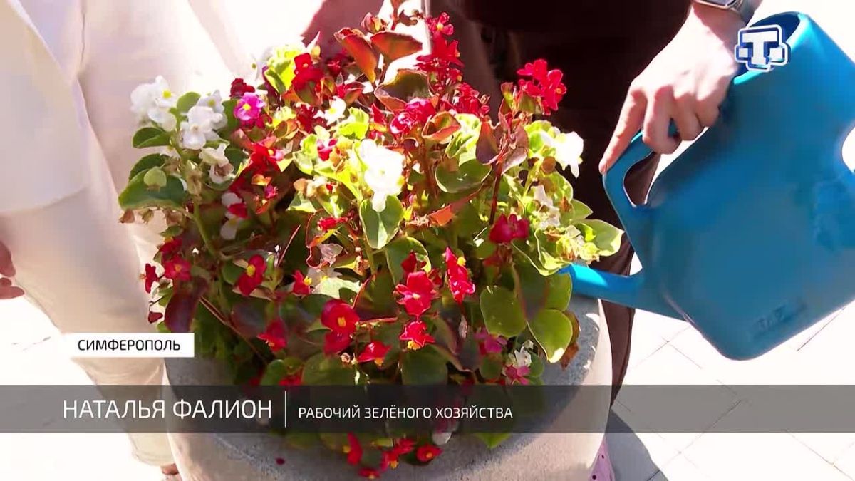 В жару поливу растений в Симферополе уделяют особое внимание