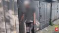 Задержан один из участников мошенничества, в котором жительница Ялты лишилась квартиры и 11 млн рублей