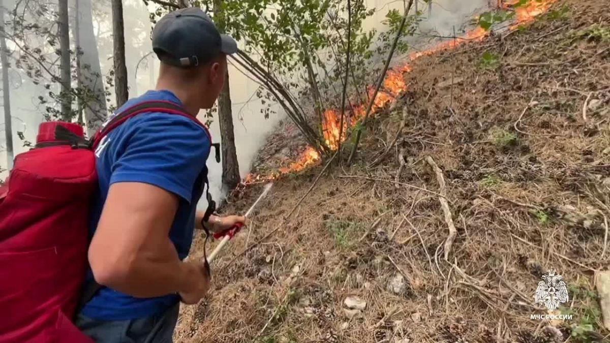 Пожар в Ялте: площадь горения выросла до 50 гектаров