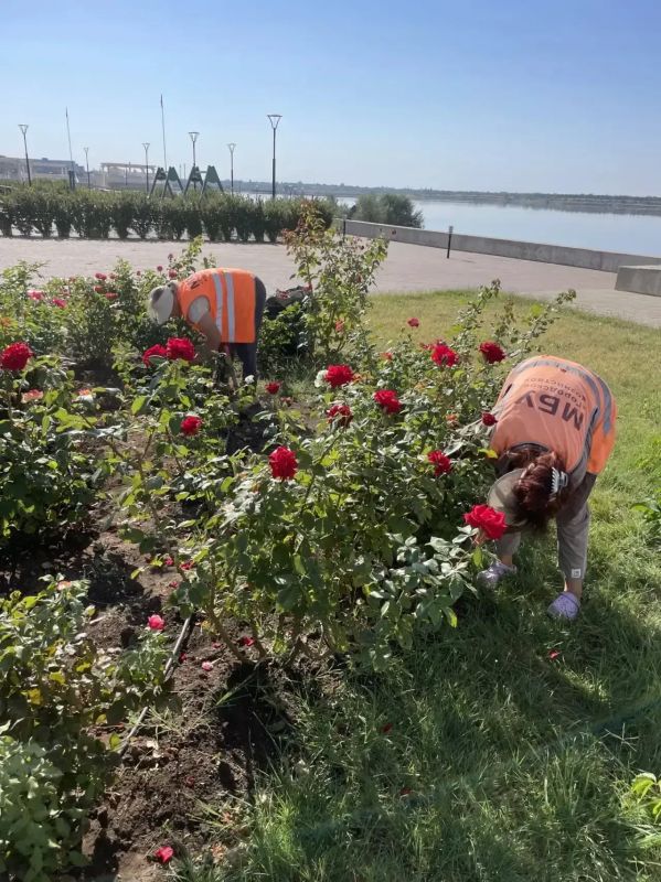 Город Саки преображается: ежедневный труд ради уюта нашего города Город Саки преображается: ежедневный труд ради уюта нашего города