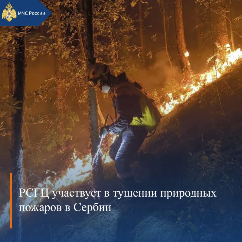 МЧС России, итоги за неделю: МЧС России, итоги за неделю: