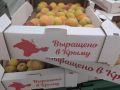 Михаил Онуфриенко: Боже! Как я отстал от жизни!