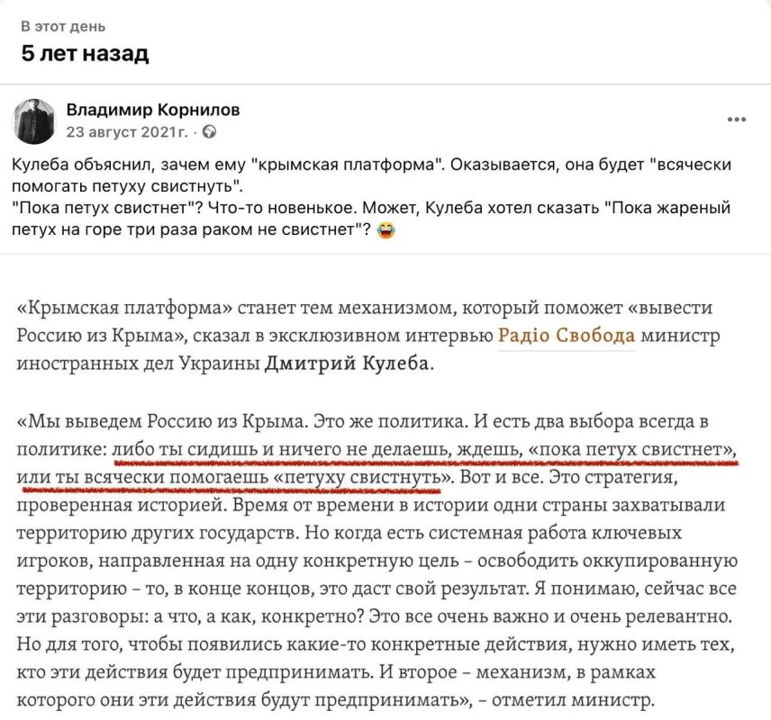 Владимир Корнилов: Во какая сегодня дата, оказывается! Ровно пять лет назад была создана «Крымская платформа»!