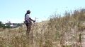 В Симферополе ведется плановая работа по уничтожению амброзии полыннолистной