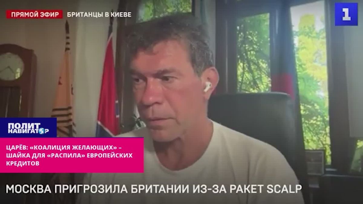 Царёв: «Коалиция желающих» – шайка для «распила» европейских кредитов на войну