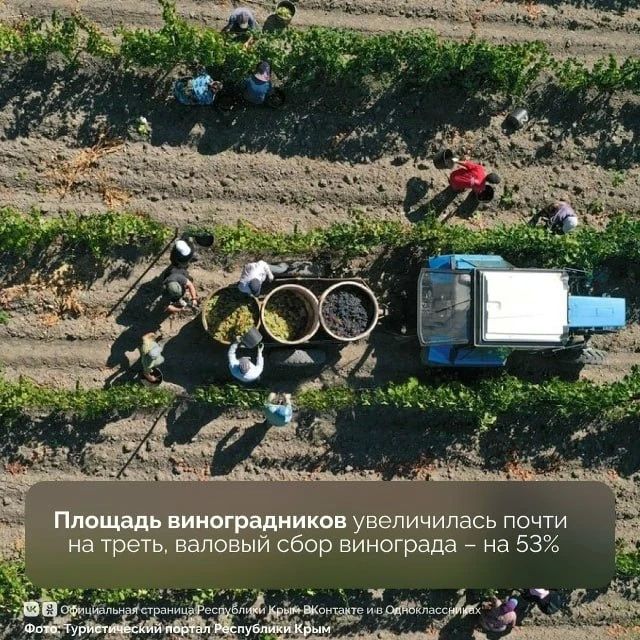 Виноградарство и виноделие в Крыму демонстрируют устойчивый рост благодаря господдержке Виноградарство и виноделие в Крыму демонстрируют устойчивый рост благодаря господдержке