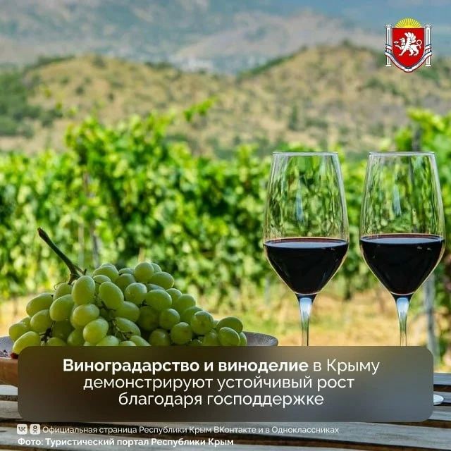 Виноградарство и виноделие в Крыму демонстрируют устойчивый рост благодаря господдержке