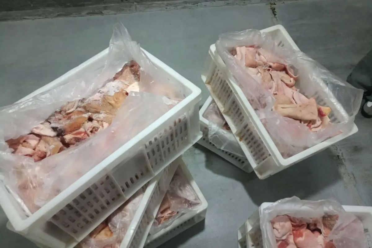Более 1,7 тонны опасной мясной продукции нашли в Севастополе Более 1,7 тонны опасной мясной продукции нашли в Севастополе