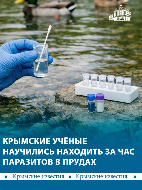 Крымские учёные разработали ПЦР тест, который позволяет обнаружить опасных паразитов в водоёмах