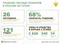 За прошедшие сутки в 11 регионах России потушили 26 лесных пожаров