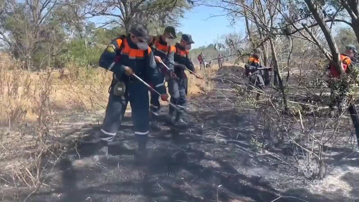 Под Симферополем загорелось 23 гектара сухой травы