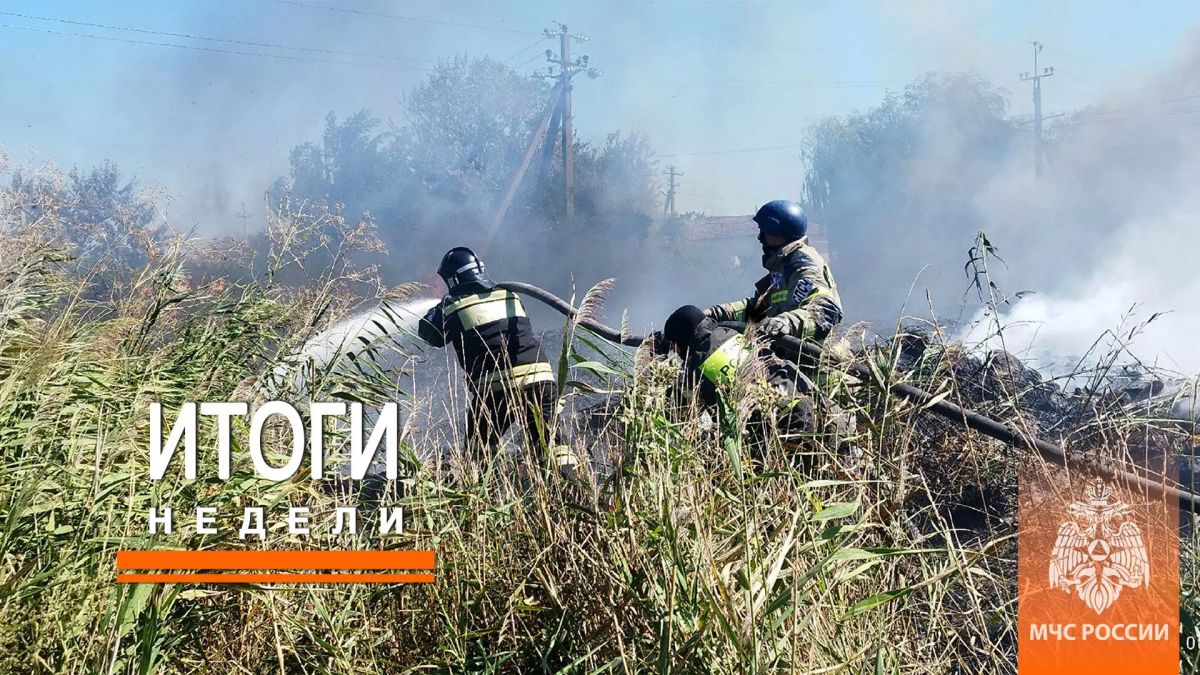 Итоги недели с 24 по 30 августа Итоги недели с 24 по 30 августа