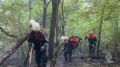 Площадь пожара на Мангупе увеличилась до 4,5 га