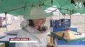 Пасечники Крыма завершают сбор мёда