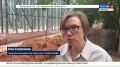 На Южном берегу Крыма возводят новый корпус Ливадийской больницы