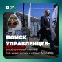 Поиск управленцев: сколько готовы платить топ-менеджерам в стройсфере Юга