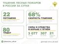 За прошедшие сутки в 14 регионах России потушили 22 лесных пожара