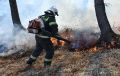Заброшенный сад горит под Симферополем на 10 гектарах