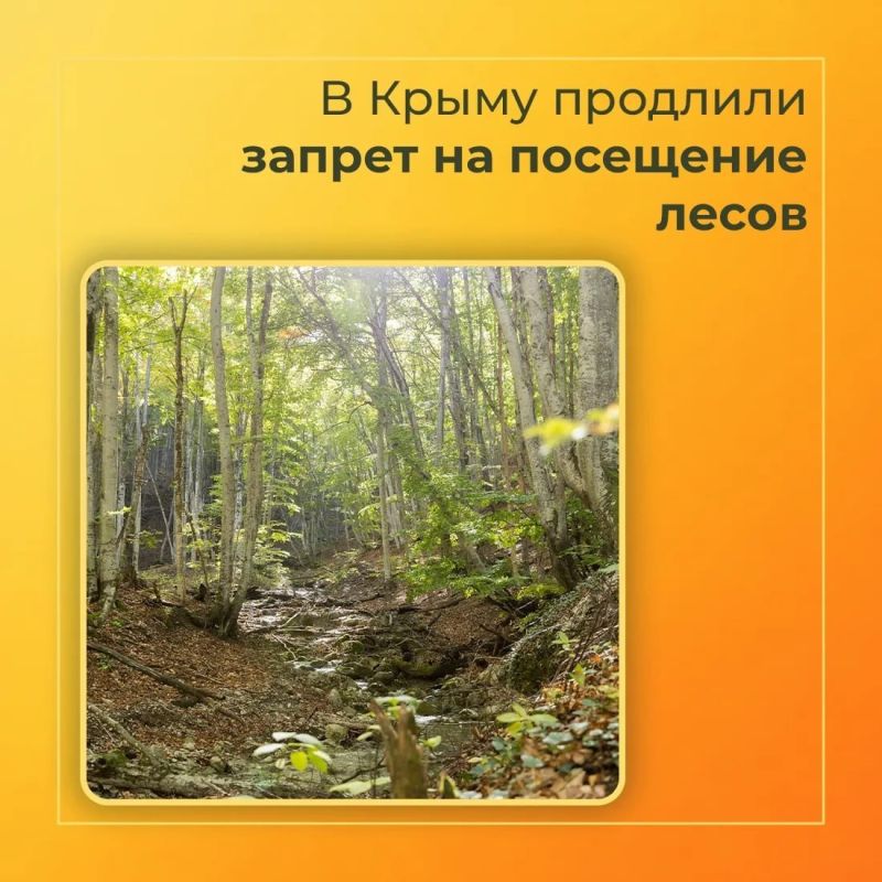 В Крыму продлили запрет на посещение лесов