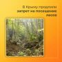 В Крыму продлили запрет на посещение лесов