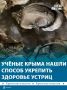 ������� �� ��������� ��������� �������� �������� ����������� �� �������� � ��������� �� ��������, �������� �������� ������
