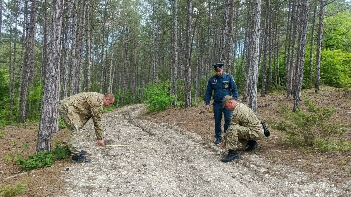 ГКУ РК «Северо западное объединённое лесничество» — ключевое государственное учреждение, обеспечивающее охрану, защиту и рациональное использование лесного фонда на территории Республики Крым ГКУ РК «Северо западное объединённое лесничество» — ключевое государственное учреждение, обеспечивающее охрану, защиту и рациональное использование лесного фонда на территории Республики Крым