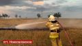За прошедшие сутки сотрудники ГКУ РК «Пожарная охрана Республики Крым» 15 раз привлекались для тушения сухой растительности
