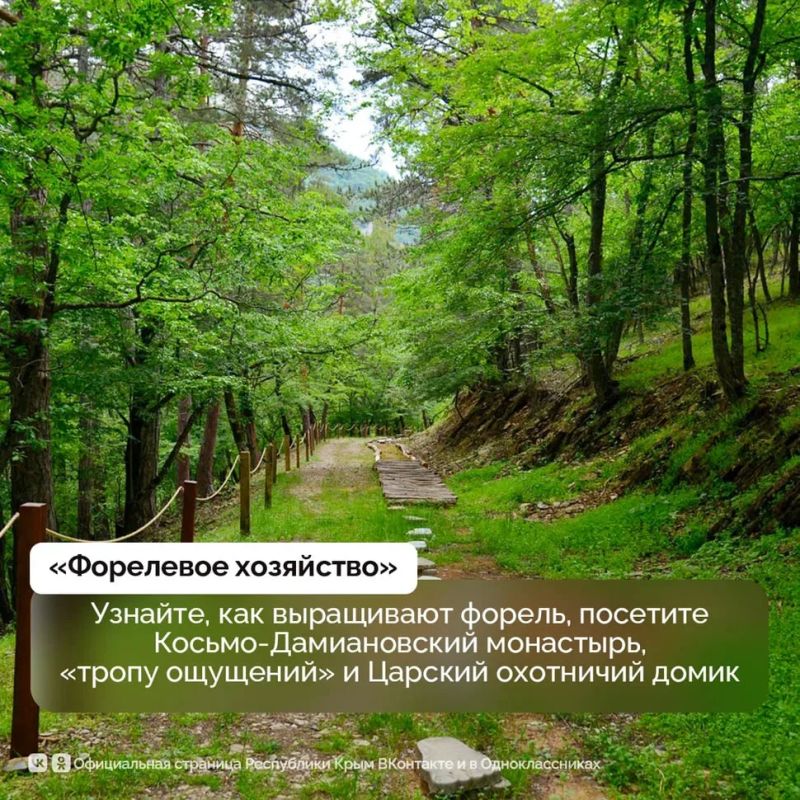В горах между Алуштой и Ялтой расположилась уникальная территория – национальный парк «Крымский» В горах между Алуштой и Ялтой расположилась уникальная территория – национальный парк «Крымский»