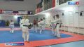 Тхэквондо — это олимпийский вид спорта