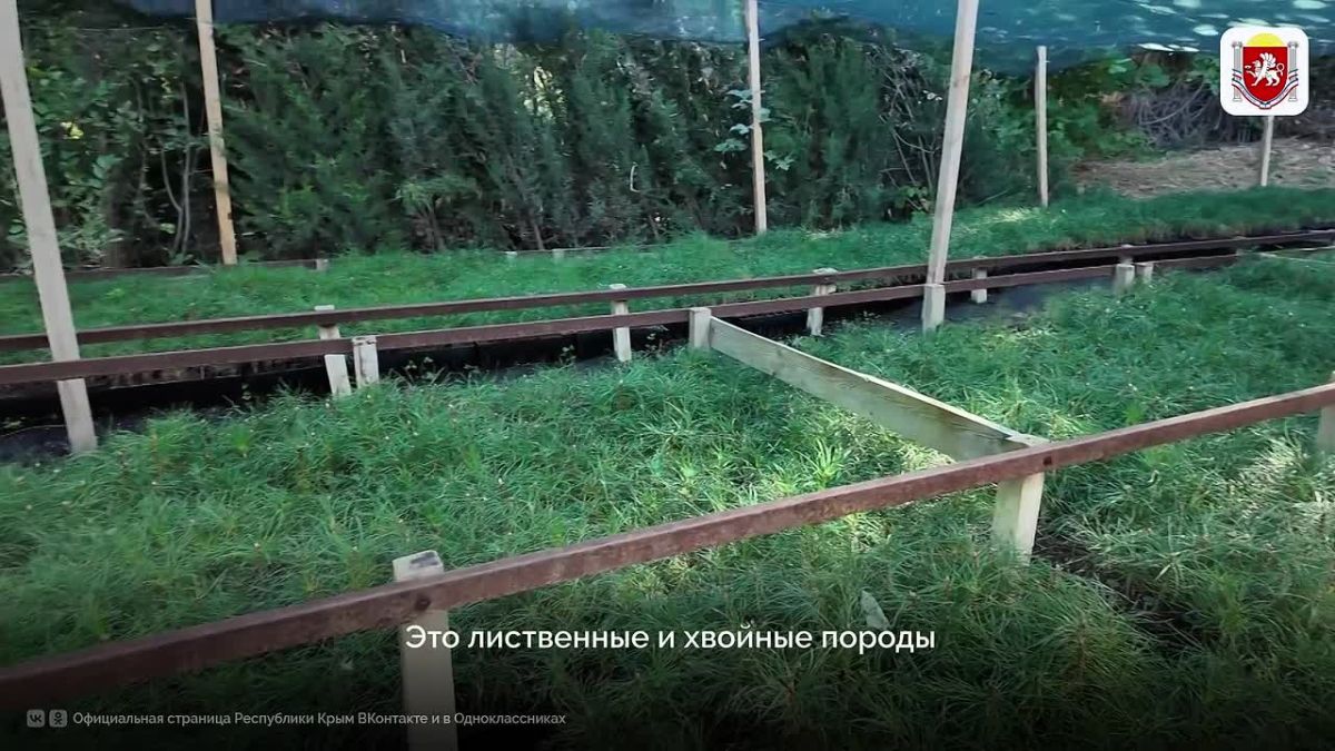 Специалисты лесоохотничьего хозяйства восстанавливают и увеличивают площадь лесного фонда