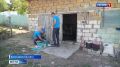 В регионах владельцев обязали ставить птицу на учёт