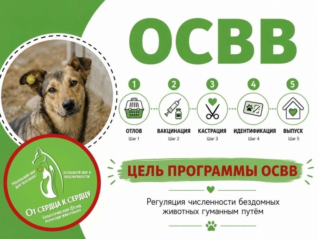 На основе муниципального контракта Евпаторийский фонд помощи животным «От сердца к сердцу» проводит отлов и БЕСПЛАТНУЮ стерилизацию бездомных животных!