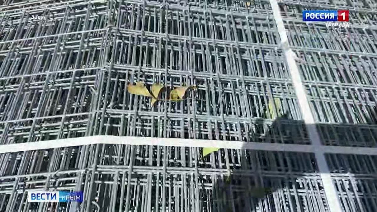 Информационный дайджест Вести Крым: 08.09.2026