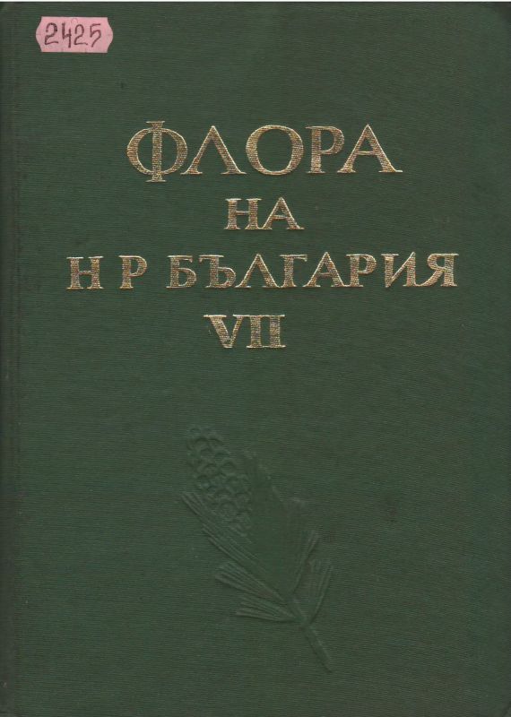 «Заговори, чтоб я тебя увидел» «Заговори, чтоб я тебя увидел»